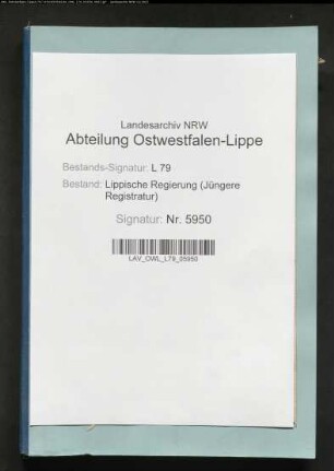 Lippische Steuerstatistik (Einkommen- und Ergänzungssteuer)