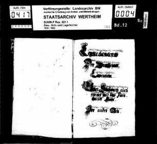 Erneuerung des Zins- und Gültbuchs der Grafschaft Löwenstein Über Sulzbach und das Fürnspacher Amt