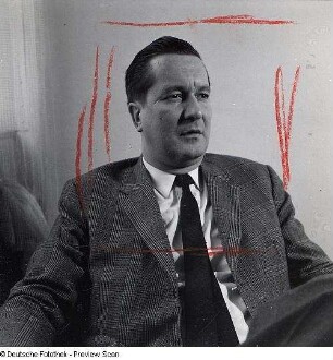 Portraitserie William Styron