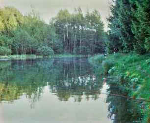 Wasserläufe Freiberg: Mühlteich (BED)