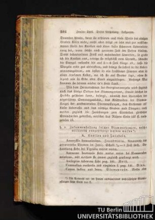 A. Knollen und Zwiebeln.