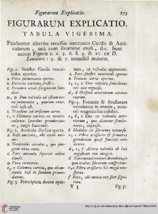 Figurarum explicatio: Tabula vigesima