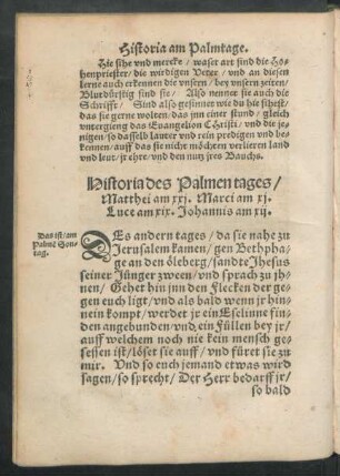 Historia des Palmen tages/ Matthei am xxi. Marci am xi. Luce am xix. Johannis am xii.