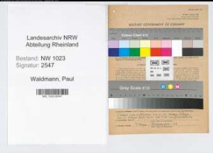 Entnazifizierung Paul Waldmann , geb. 19.06.1894 (Prokurist)
