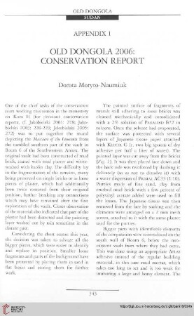 18: Old Dongola 2006: conservation report