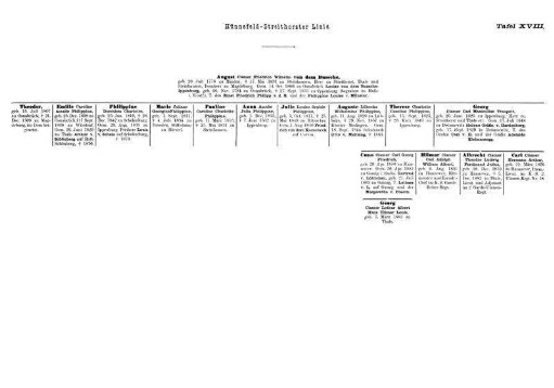 Tafel XVIII. Hünnefeld-Streithorster Linie.