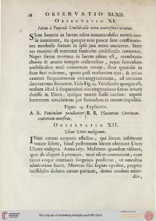 Observatio XI