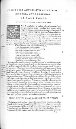 Historia Quadragesima. De Cane Galeo