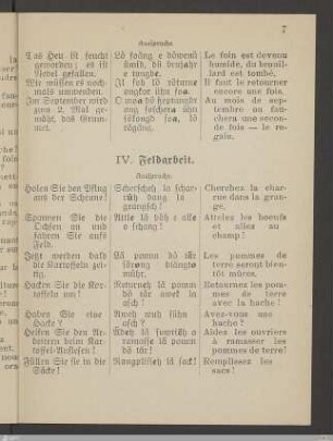 IV. Feldarbeit