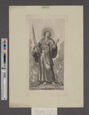 S. Agnes