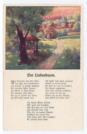 Der Lindenbaum.