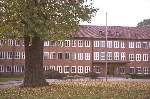 Stormarnhaus: Innenhof mit Pappel