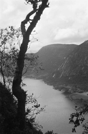 Fjord : Felswände eines Fjords.