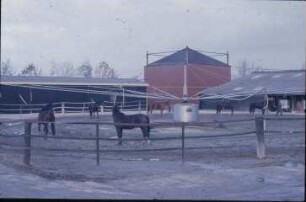 Fotografie: Pferdehaltung, Reitplatz
