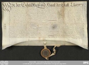 [Halle (Saale), Universitäts- und Landesbibliothek Sachsen-Anhalt, Morbio 30 (31)]
