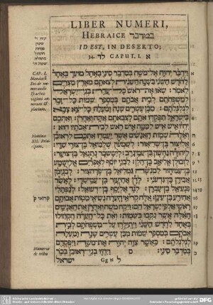 Liber Numeri