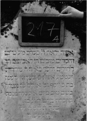 Grabstein 217 (Index: 100090559) Material: weißer Marmor, Sockel:Granit Zustand: gut Maße HxBxT: 120x60x17 cm Beschreibung: Stele, getreppter Sockel, Konvexbogenabschluß: Grabstein 217A