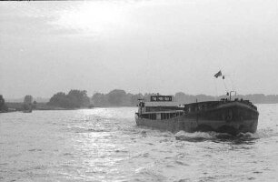 Düsseldorf-Lohausen: Rheinfrachter auf Bergfahrt in Abendsonne