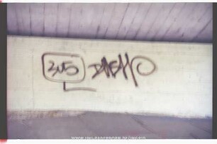 305 RUsH