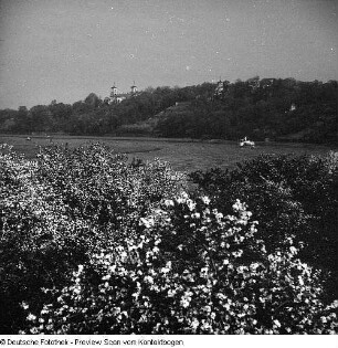 Elbe im Raum Dresden; Elbe Baumblüte Loschwitz