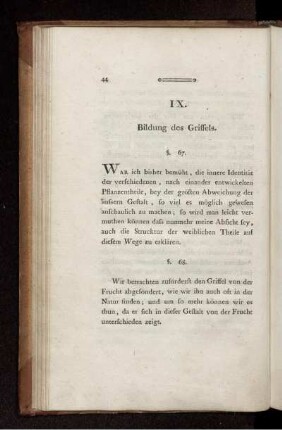 IX. Bildung des Griffels