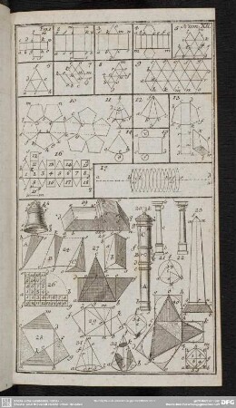Num. XII.
