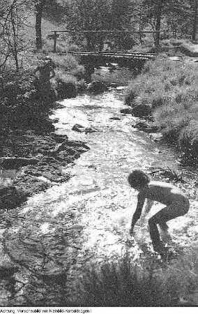 Erzgebirge, Weißbachtal, Familienausflug, 1953