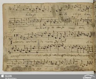 [36.] 13. Anonymus: Justorum animae