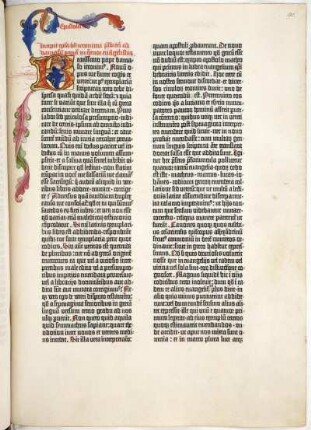 Matthaeus / Matthäus / Matthew / Matthieu