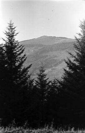 Vogesen: Routes des Crêtes, Belchen, Vordergrund Tannen