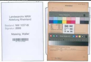Entnazifizierung Walter Massing , geb. 23.07.1893 (Chemiker)