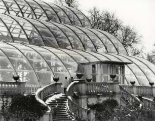 Insel Mainau, das neue Palmenhaus