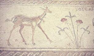 Mosaik Gazelle Kirche Ras-Siyagha [Nebo]