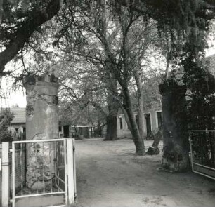 Goyatz-Guhlen, Am See 36. Gehöft (um 1800). Straßenansicht mit Torsäule der Einfahrt
