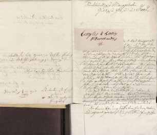Johann Sebastian Clais an Karoline Luise von Baden (Kaiserslautern)