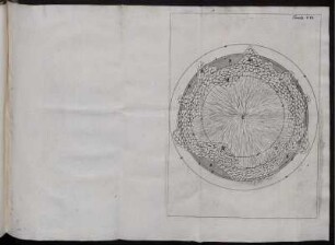 Tavola VIII.