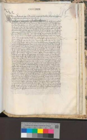 Werner Compan von Wallertheim