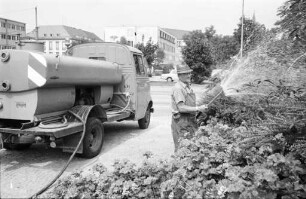Pflege der Karlsruher Grünanlagen durch das Gartenbauamt.