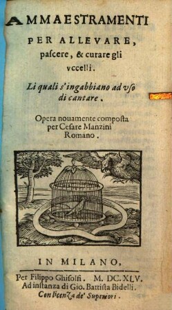 Ammaestramenti per allevare ... gli uccelli