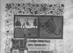 Stundenbuch Karls V. — Monatsblatt Oktober und Tierkreiszeichen Skorpion, Folio 202