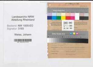 Entnazifizierung Johann Weiss, geb. 22.12.1894 ()