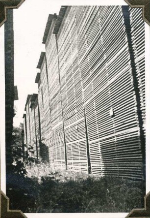 Fa. H. Fuchs Söhne, Holzhandlung im Rheinhafen. Holzlagerplatz