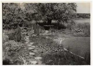 Garten Niemczyk, Potsdam-Nedlitz: Pflanzung, früh