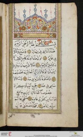 Mehmed Efendi, Birgivi, Türkischer Kommentar des Ali Sadri al-Qunawi