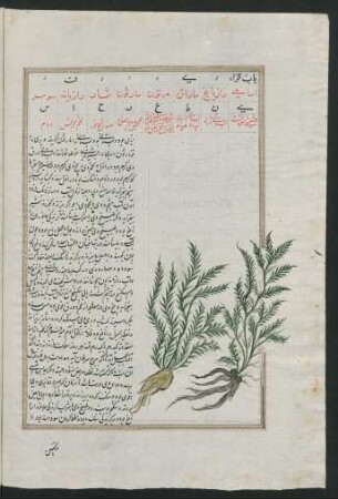Illustration: f. 57v-91r