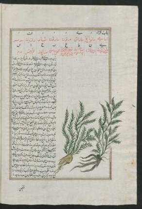 Illustration: f. 57v-91r