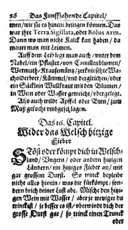 16. Kap. Wider das Welsch.