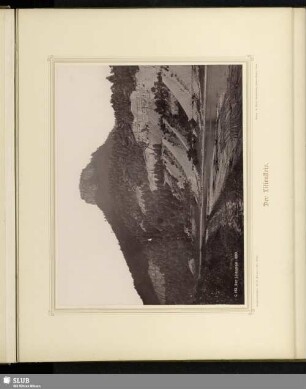 Der Lilienstein