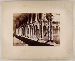 No. 1325. Monreale Chiostro. Palermo