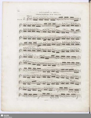 Etude 13
